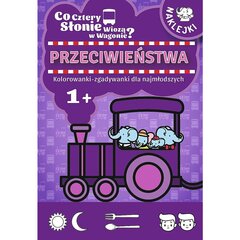 Spalvinimo knygelė apie ką svajoja keturi drambliai furgone? kaina ir informacija | Spalvinimo knygelės | pigu.lt