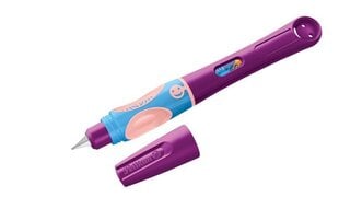 Перьевая ручка Griffix-4 R sweet berry цена и информация | Письменные принадлежности | pigu.lt