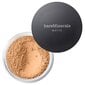 Birus mineralinis makiažo pagrindas BareMinerals Matte Foundation SPF15, 13 Golden Beige, 6 g цена и информация | Makiažo pagrindai, pudros | pigu.lt