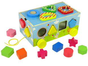 Mokomoji geometrinė figūrėlė vaikams Lean Toys kaina ir informacija | Žaislai mergaitėms | pigu.lt
