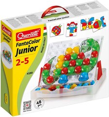 Мозаика Quercetti "Fantacolor Junior", 4190 Li цена и информация | Игрушки для малышей | pigu.lt