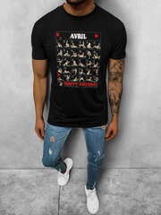Marškinėliai vyrams Arvil NB300547660 kaina ir informacija | Vyriški marškinėliai | pigu.lt