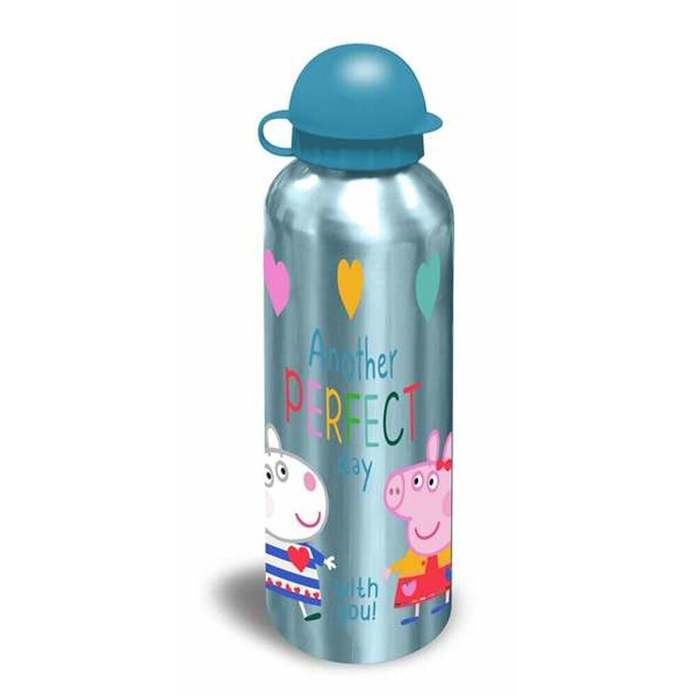 Vandens butelis Peppa Pig, 500 ml цена и информация | Gertuvės | pigu.lt