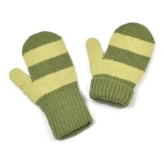 Перчатки Art of Polo | зеленые, оливковые rk20325-2 цена и информация | Женские перчатки | pigu.lt
