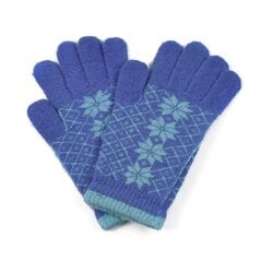 Перчатки Art of Polo | синие rk1620-4 цена и информация | Женские перчатки | pigu.lt