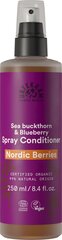 Nordic Berries Spray Conditioner, 250ml цена и информация | Средства для укрепления волос | pigu.lt