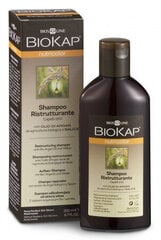 Plaukų šampūnas Biokap Nutricolor Shampoo Ristrutturante, 250 ml цена и информация | Шампуни | pigu.lt