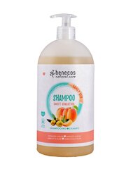 Šampūnas Benecos, 950 ml цена и информация | Шампуни | pigu.lt