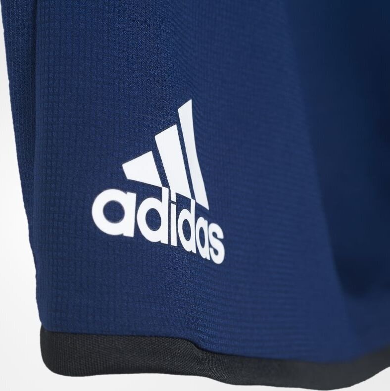 Futbolo šortai vyrams Adidas Condivo 16 M AP5649, S dydis, mėlyni kaina ir informacija | Futbolo apranga ir kitos prekės | pigu.lt