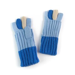 Перчатки Art of Polo | синие rk2610-1 цена и информация | Женские перчатки | pigu.lt