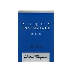 Туалетная вода для мужчин Salvatore Ferragamo Blue Essential EDT, 100 мл цена и информация | Мужские духи | pigu.lt