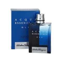 Туалетная вода для мужчин Salvatore Ferragamo Blue Essential EDT, 100 мл цена и информация | Мужские духи | pigu.lt