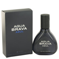 Tualetinis vanduo Antonio puig agua brava blue EDT vyrams, 100 ml kaina ir informacija | Kvepalai vyrams | pigu.lt