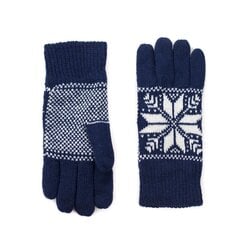 Перчатки Art of Polo rk18609-1, синие цена и информация | Мужские шарфы, шапки, перчатки | pigu.lt
