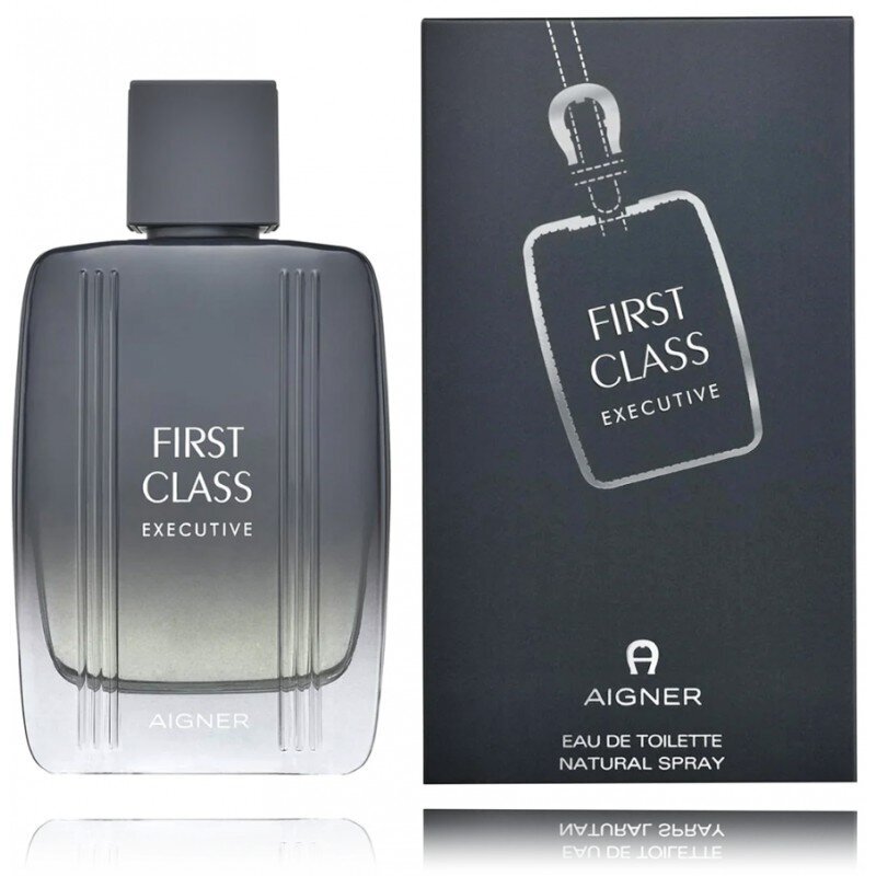 Tualetinis vanduo Atienne Aigner First Class Executive EDT vyrams, 100 ml kaina ir informacija | Kvepalai vyrams | pigu.lt