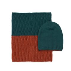 Art of Polo Набор | зеленый, коричневый cz19815-1 цена и информация | Женские шапки | pigu.lt