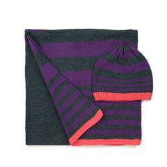 Komplektas žiemai suaugusiems Art of Polo, violetinis kaina ir informacija | Kepurės moterims | pigu.lt