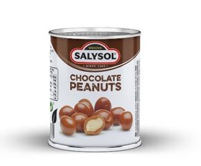 Арахис Salysol, глазурь со вкусом шоколада, 60 г цена и информация | Орехи, сухофрукты, семечки | pigu.lt