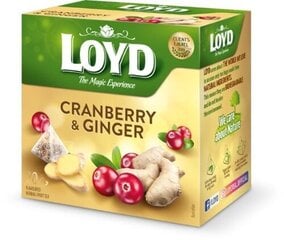 Травяной и фруктовый чай Loyd со вкусом клюквы и имбиря, 20 х 2 г цена и информация | Чай | pigu.lt