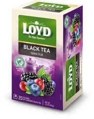 Loyd ароматизированный черный чай, со вкусом лесных ягод, 20 x 1,7 г цена и информация | Чай | pigu.lt