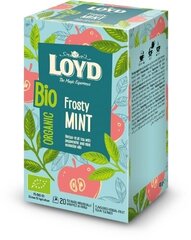 Органический травяной чай Loyd Frosty Mint, 20 x 2 г цена и информация | Чай | pigu.lt