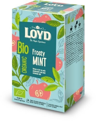 Loyd Frosty Mint ekologiška žolelių arbata, 20 x 2g kaina ir informacija | Arbata | pigu.lt