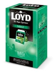 Травяной чай Loyd Horeca Mint, 20 x 1,7 г цена и информация | Чай | pigu.lt