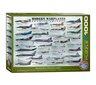 Dėlionė Eurographics, 6000-0076, Modern Warplanes, 1000 d. цена и информация | Dėlionės (puzzle) | pigu.lt