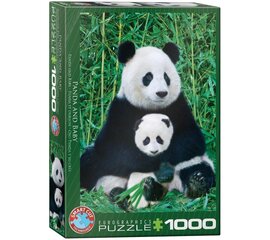 Dėlionė Eurographics, 6000-0173, Panda and Baby, 1000 d. kaina ir informacija | Dėlionės (puzzle) | pigu.lt