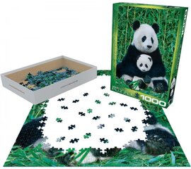 Пазл Eurographics, 6000-0173, Panda and Baby, 1000 шт. цена и информация | Пазлы | pigu.lt