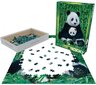 Dėlionė Eurographics, 6000-0173, Panda and Baby, 1000 d. kaina ir informacija | Dėlionės (puzzle) | pigu.lt