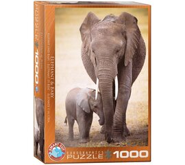 Dėlionė Eurographics, 6000-0270, Elephant and Baby, 1000 d. kaina ir informacija | Dėlionės (puzzle) | pigu.lt