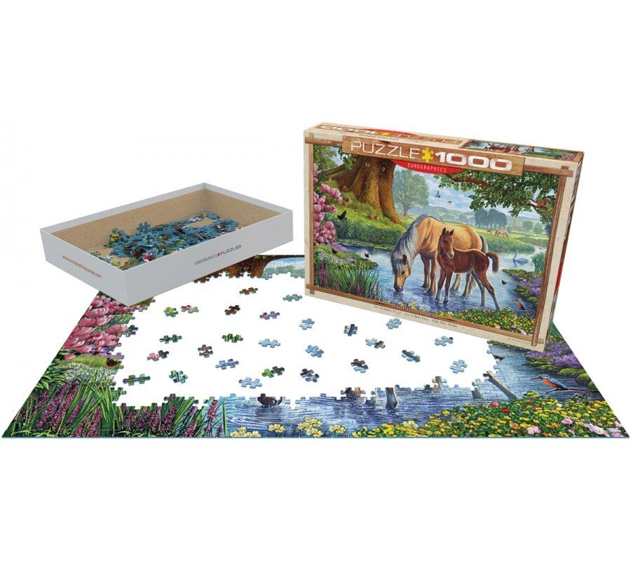 Dėlionė Eurographics, 6000-0976, The Fell Ponies, 1000 d. kaina ir informacija | Dėlionės (puzzle) | pigu.lt