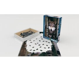 Dėlionė Eurographics, 6000-1244, Gray Wolf, 1000 d. kaina ir informacija | Dėlionės (puzzle) | pigu.lt