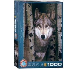 Пазл Eurographics, 6000-1244, Gray Wolf, 1000 шт. цена и информация | Пазлы | pigu.lt