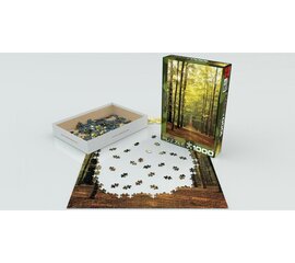 Dėlionė Eurographics, 6000-3846, Forest Path, 1000 d. kaina ir informacija | Dėlionės (puzzle) | pigu.lt