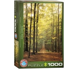 Dėlionė Eurographics, 6000-3846, Forest Path, 1000 d. kaina ir informacija | Dėlionės (puzzle) | pigu.lt
