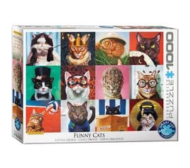 Dėlionė Eurographics, 6000-5522, Funny Cats, 1000 d. kaina ir informacija | Dėlionės (puzzle) | pigu.lt