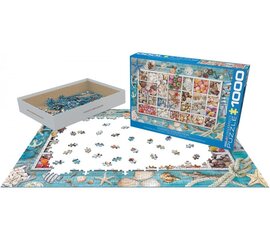 Dėlionė Eurographics, 6000-5529, Seashell Collection, 1000 d. kaina ir informacija | Dėlionės (puzzle) | pigu.lt