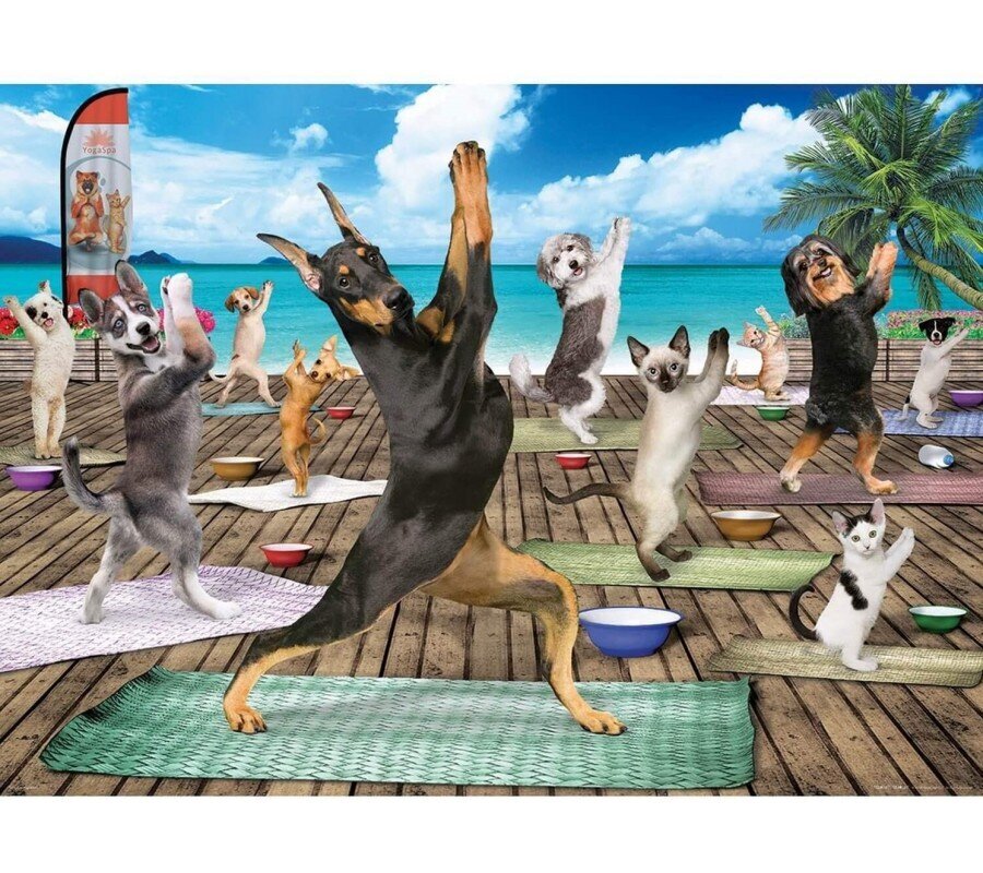 Dėlionė Eurographics, 6500-5454, Yoga Spa, 500 d. цена и информация | Dėlionės (puzzle) | pigu.lt