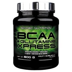 Аминокислота Scitec Nutrition BCAA+Glutamine Xpress, 600 г цена и информация | Аминокислоты | pigu.lt
