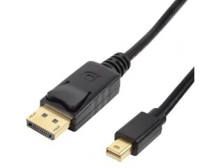 Sbox Cable, DP/mini DP, 2 m kaina ir informacija | Kabeliai ir laidai | pigu.lt