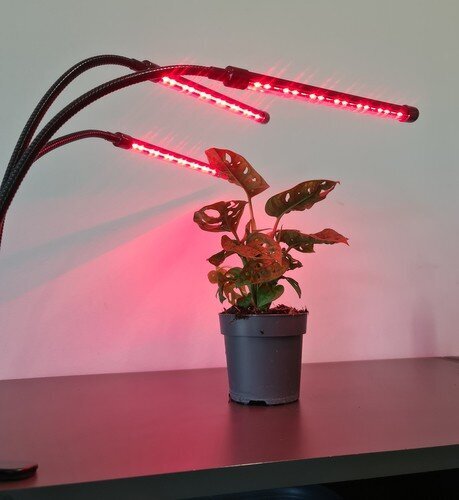 Lempa augalu augimui 3x20 LED kaina ir informacija | Daigyklos, lempos augalams | pigu.lt