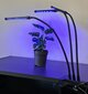 Lempa augalu augimui 3x20 LED kaina ir informacija | Daigyklos, lempos augalams | pigu.lt