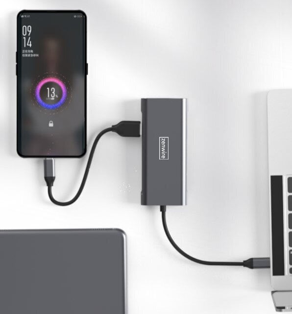 Adapteris Zenwire HUB USB-C 9w1, USB 3.0, Ethernet RJ45, HDMI 4K, SD, micro SD, Power Delivery 100W, DEX, Macbook Pro Air M1 цена и информация | Adapteriai, USB šakotuvai | pigu.lt