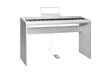 88-klavišų skaitmeninis pianinas Artesia Performer kaina ir informacija | Klavišiniai muzikos instrumentai | pigu.lt