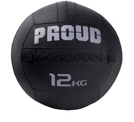 Medicininiai kamuoliai Proud Wall Ball - 12 kg цена и информация | Медболы | pigu.lt