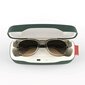 Audio akiniai nuo saulės Fauna Spiro Transparent Brown su Carl Zeiss lęšiais цена и информация | Ausinės | pigu.lt