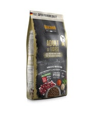 Belcando Adult Grain Free для взрослых собак всех пород с кониной, 4 кг цена и информация |  Сухой корм для собак | pigu.lt