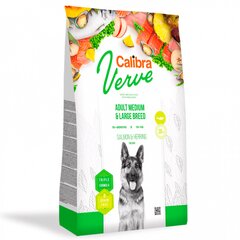 Calibra Dog Verve GF Adult Medium&Large Salmon&Herring, 12 kg kaina ir informacija | Sausas maistas šunims | pigu.lt